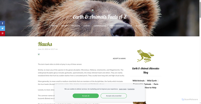 Security scan screenshot of https://www.earthandanimals.com/advocate/wild-animals/params/post/1294268/hawks