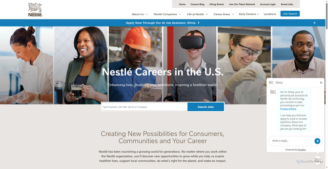 Security scan screenshot of https://nestlejobs.com
