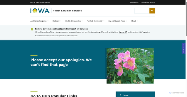 Security scan screenshot of https://hhs.iowa.gov/node/741/