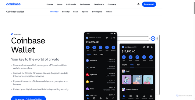 Security scan screenshot of https://web-content-s-walet-coinbase.webflow.io/