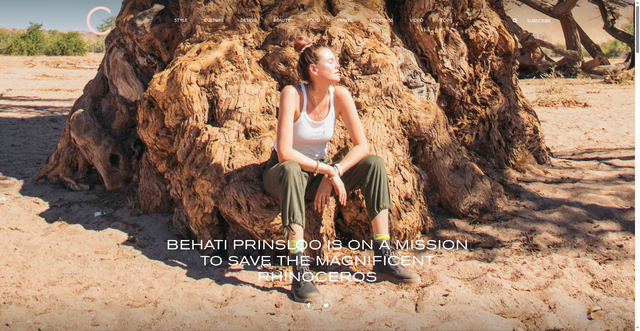 Security scan screenshot of https://magazinec.com/style/behati-prinsloo-is-on-a-mission-to-save-the-magnificent-rhinoceros/
