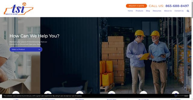 Security scan screenshot of https://www.tnstateins.com/