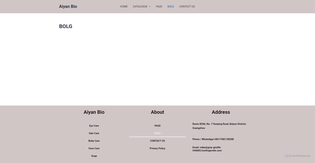 Security scan screenshot of https://aiyanbio.com/bolg/