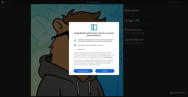 Security scan screenshot of https://fast.image.delivery