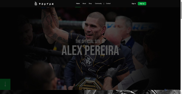 Security scan screenshot of https://poatan.meteor.land/