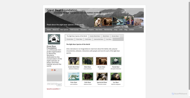 Security scan screenshot of https://greatbear.org/bear-species/