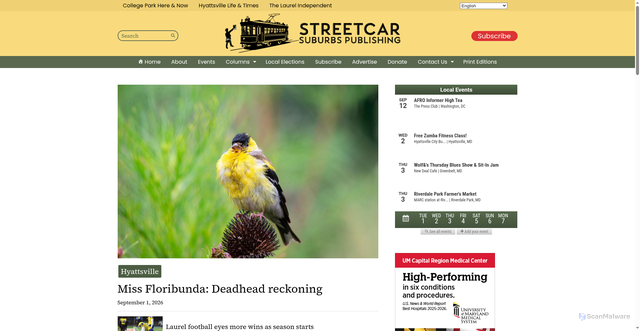 Security scan screenshot of https://streetcarsuburbs.news
