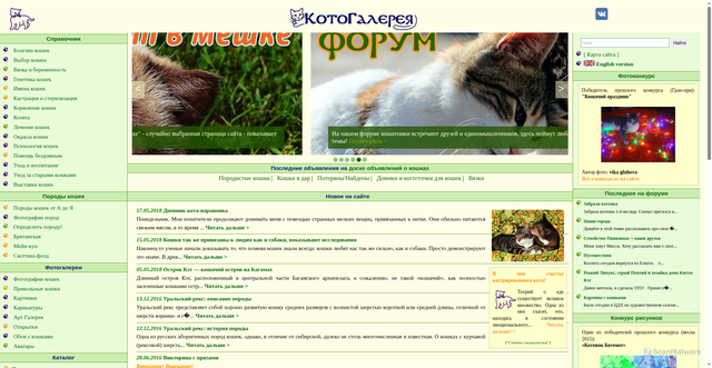 Security scan screenshot of https://www.catgallery.ru