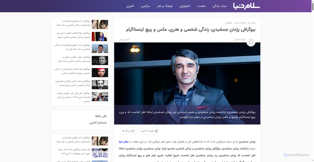 Security scan screenshot of https://salamdonya.com/art/pejman-jamshidi-biography-and-photos