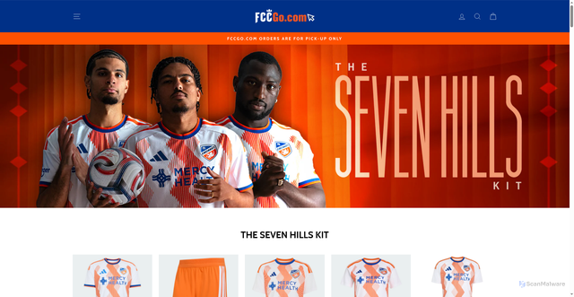 Security scan screenshot of https://fccgo.com/