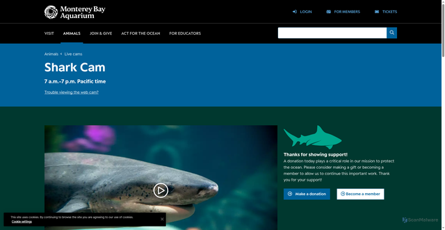 Security scan screenshot of https://www.montereybayaquarium.org/animals/live-cams/shark-cam