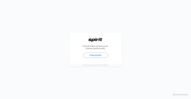 Security scan screenshot of https://www.spirit.com/account-login