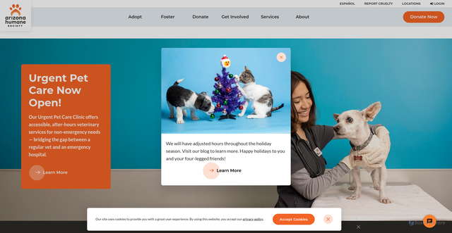 Security scan screenshot of https://www.azhumane.org/