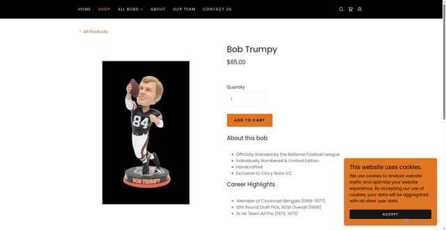 Security scan screenshot of https://cincybobs.com/shop/ols/products/bob-trumpy