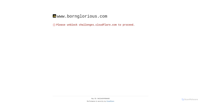 Security scan screenshot of https://www.bornglorious.com/
