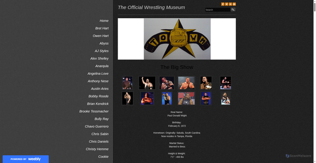Security scan screenshot of https://wrestlersbioa.weebly.com/big-show.html