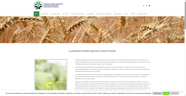Security scan screenshot of https://agronomi-fg.it/