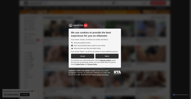 Security scan screenshot of https://en.xhamster.desi