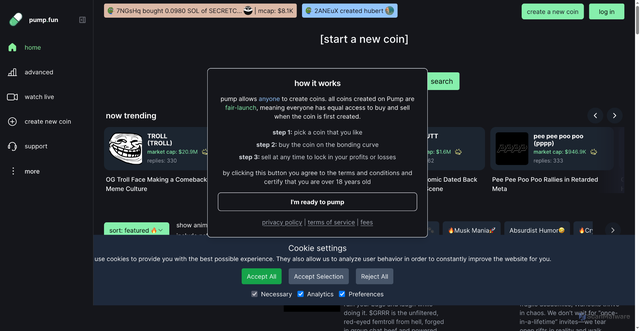 Security scan screenshot of https://pumpfun-pumpfun.github.io/