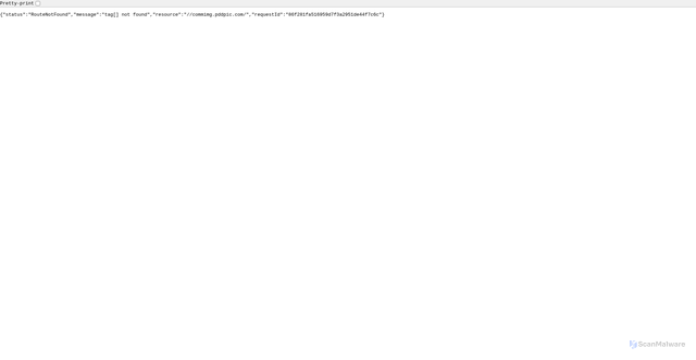 Security scan screenshot of https://commimg.pddpic.com