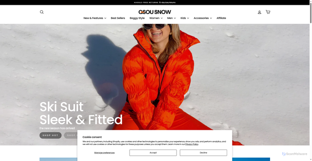 Security scan screenshot of https://www.gsousnow.com/