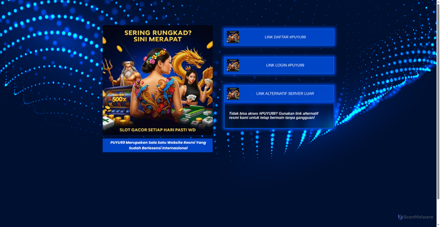 Security scan screenshot of https://puyu99.site/