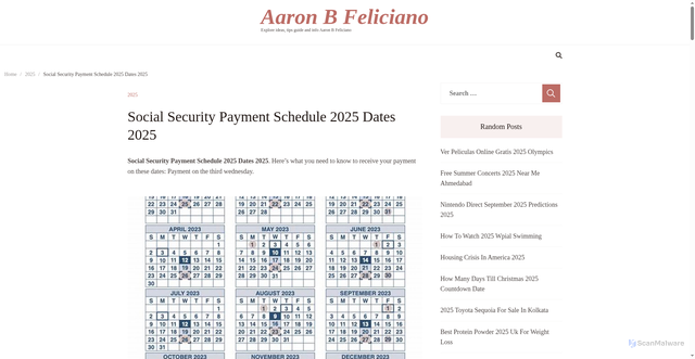 Security scan screenshot of https://aaronbfelicianoc.pages.dev/tsgnh-social-security-payment-schedule-2025-dates-2025-wzjla/