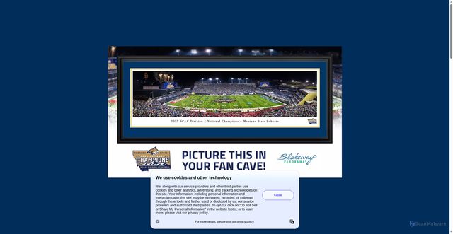 Security scan screenshot of https://msubobcats.com