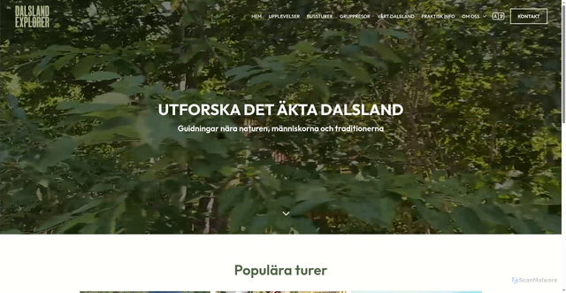 Security scan screenshot of https://traveldesigner.se