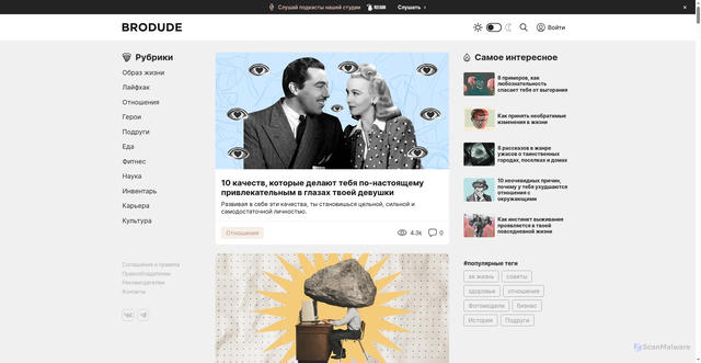 Security scan screenshot of https://brodude.ru