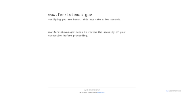 Security scan screenshot of https://www.ferristexas.gov/