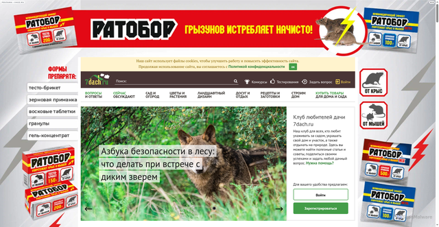 Security scan screenshot of https://7dach.ru