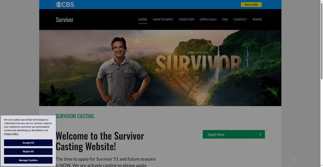 Security scan screenshot of https://www.cbssurvivorcasting.com/