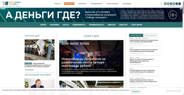Security scan screenshot of https://infopro54.ru