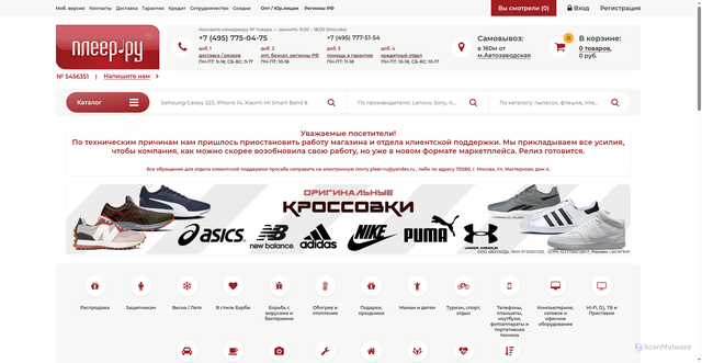 Security scan screenshot of https://pleer.ru