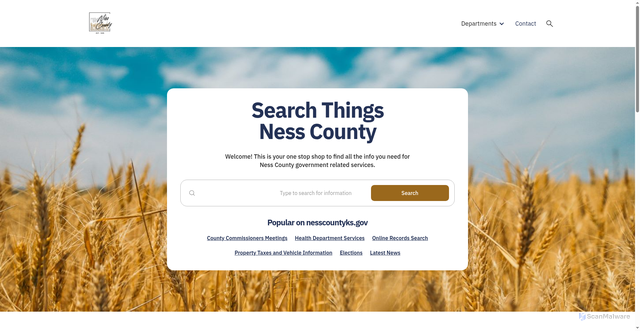 Security scan screenshot of https://www.nesscountyks.gov/