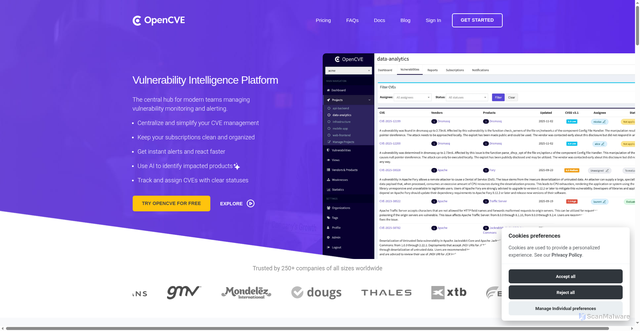 Security scan screenshot of https://www.opencve.io/