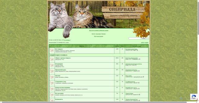 Security scan screenshot of https://siberians.forum24.ru