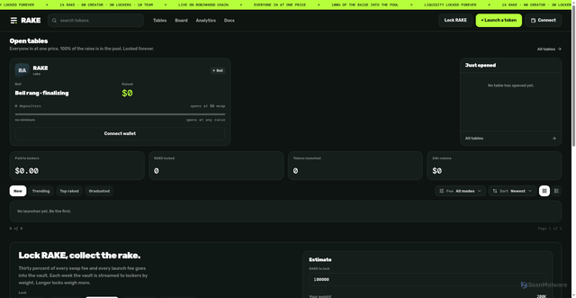 Security scan screenshot of https://rake.family/