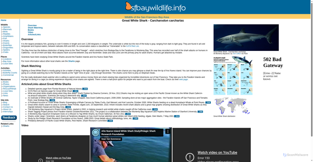 Security scan screenshot of https://www.sfbaywildlife.info/species/great_white_shark.htm