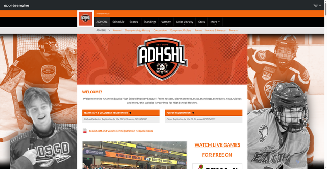 Security scan screenshot of https://www.adhshl.com/