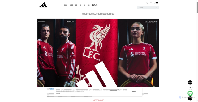Security scan screenshot of https://www.adidas.com.tw/page/UEFA_champions_league