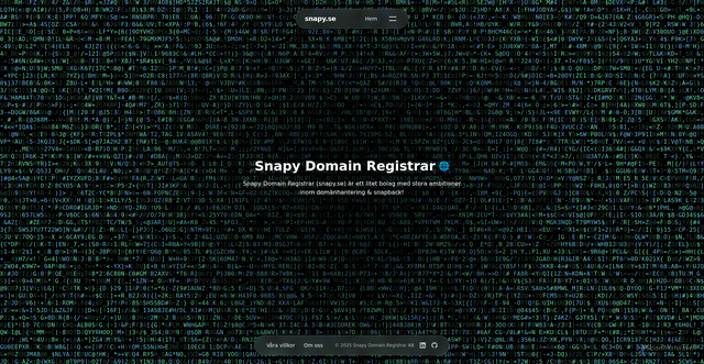 Security scan screenshot of https://snapy.se