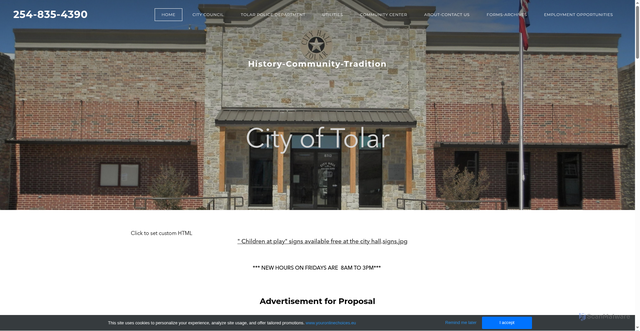 Security scan screenshot of http://tolartx.gov/
