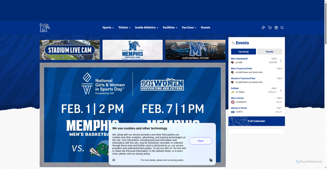 Security scan screenshot of https://gotigersgo.com