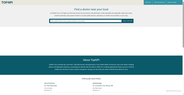 Security scan screenshot of https://topnpi.com