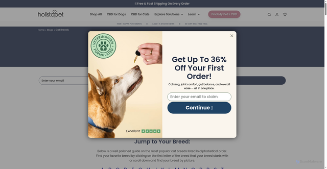 Security scan screenshot of https://www.holistapet.com/blogs/cat-breeds?srsltid=AU7gw4XmElEGXToz-4Fyy_QAk46zBa_OxdtQ4vl__8lisKRMFG1738yp