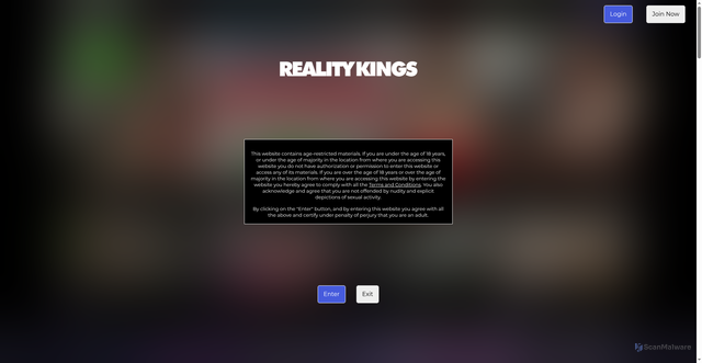 Security scan screenshot of https://www.realitykings.com
