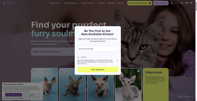 Security scan screenshot of https://purebredkitties.com