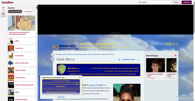 Security scan screenshot of https://warnerbros.fandom.com/wiki/Halle_Berry